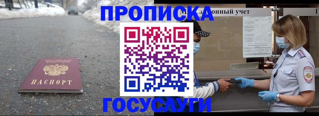 прописка гарантия в Мытищах